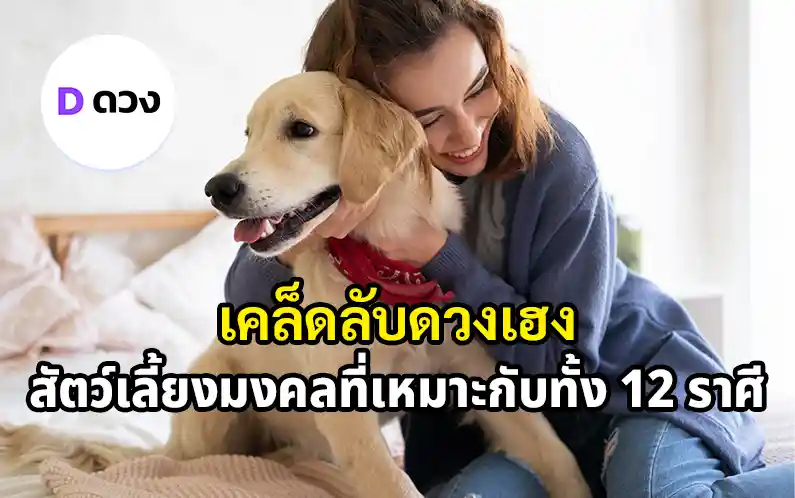 สัตว์เลี้ยง