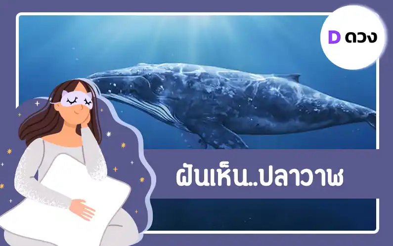 ทำนายฝัน ฝันว่า เห็นปลาวาฬ