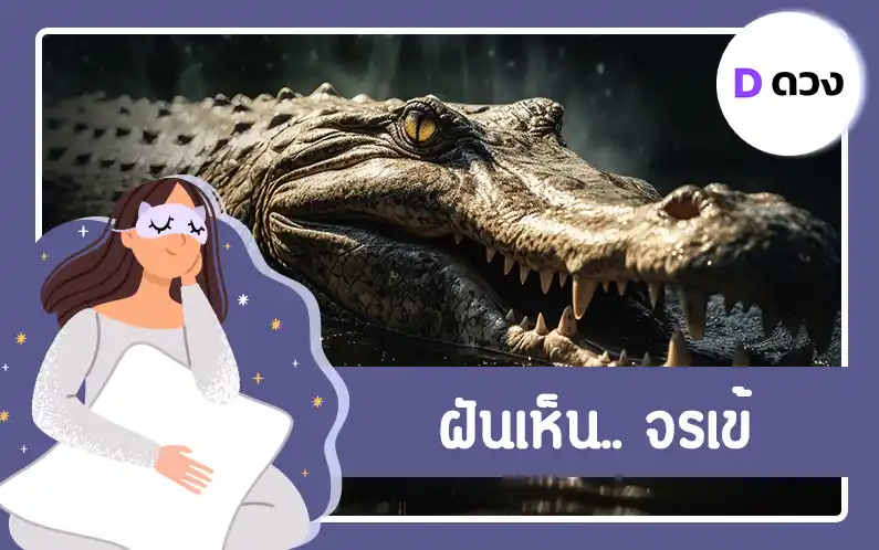 ฝันเห็น จระเข้