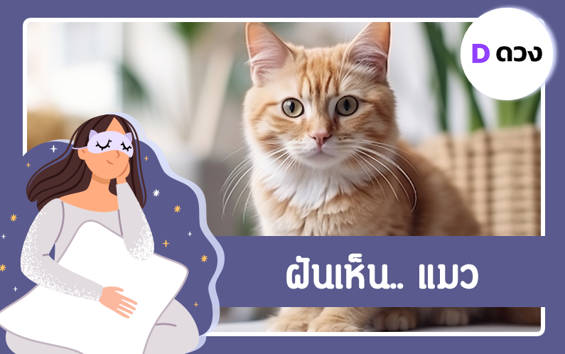 ฝันเห็น แมว