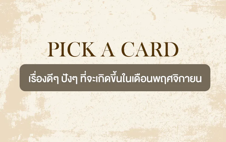 Pick A card เรื่องดีๆ ปังๆ ที่เกิดในเดือนพฤศจิกายน
