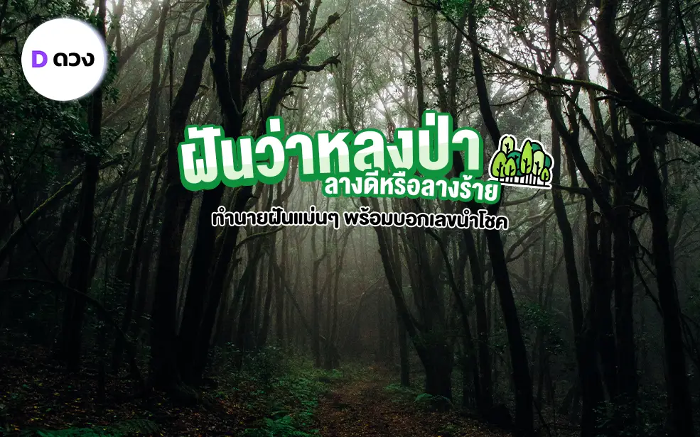 ฝันว่าหลงป่า ทํานายฝัน ดีหรือร้าย ฝันว่าหลงป่าหาทางออกไม่เจอ ฝันว่าหลงป่าคนเดียว