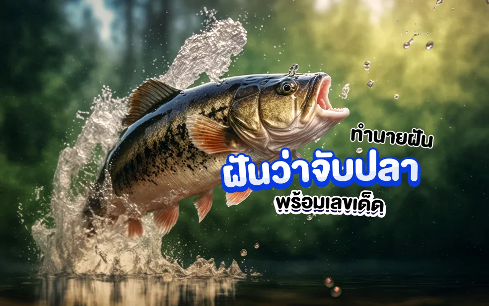 ฝันว่าจับปลา เลขเด็ด