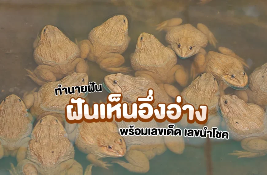 ฝันเห็นอึ่งอ่าง