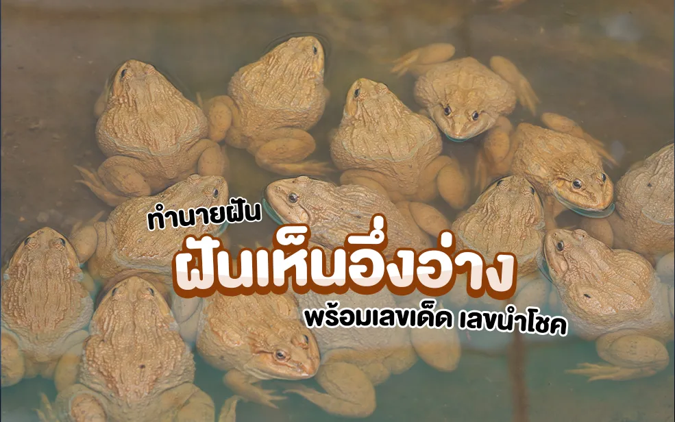 ฝันเห็นอึ่งอ่าง