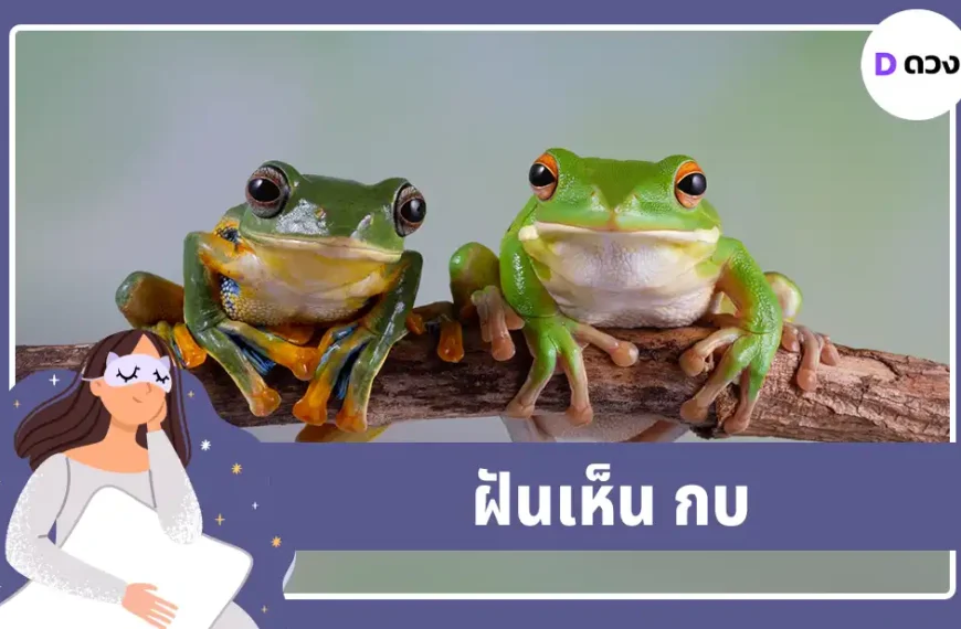 ฝันเห็น กบ