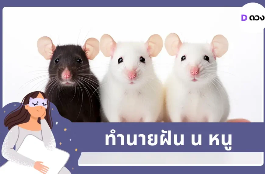 ทำนายฝัน น หนู