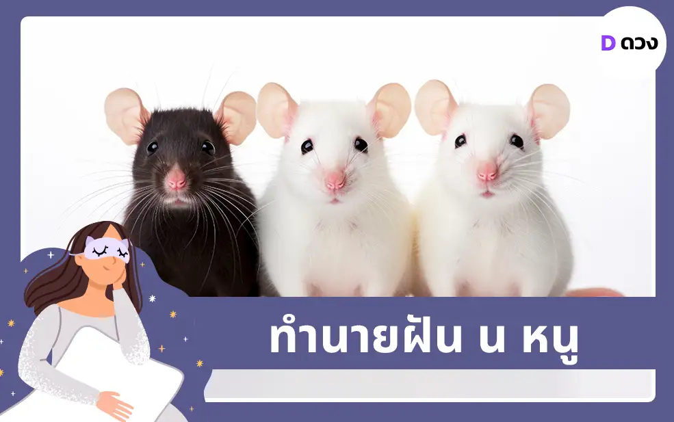 ทำนายฝัน น หนู