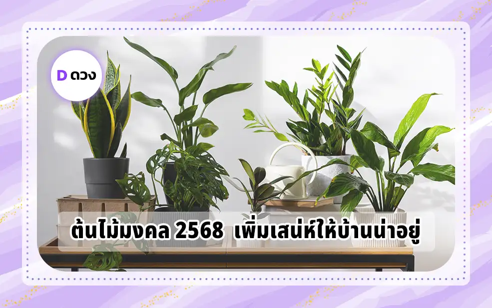 ต้นไม้มงคล 2568