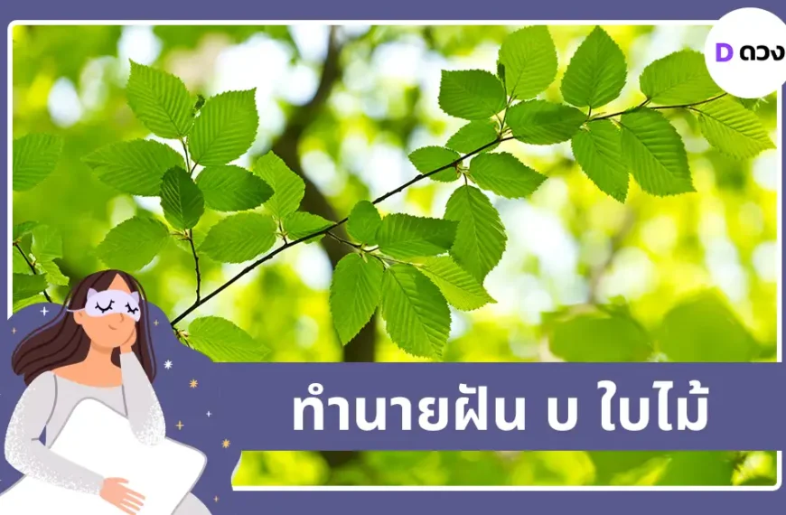 ทำนายฝัน บ ใบไม้