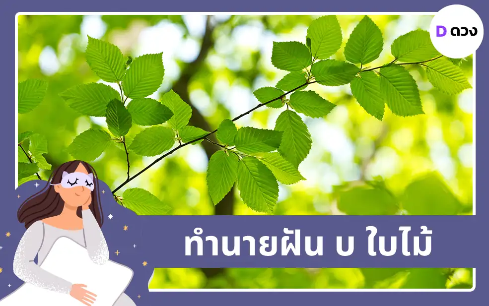 ทำนายฝัน บ ใบไม้