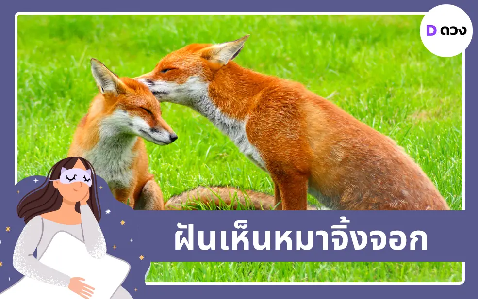 ฝันเห็นหมาจิ้งจอก