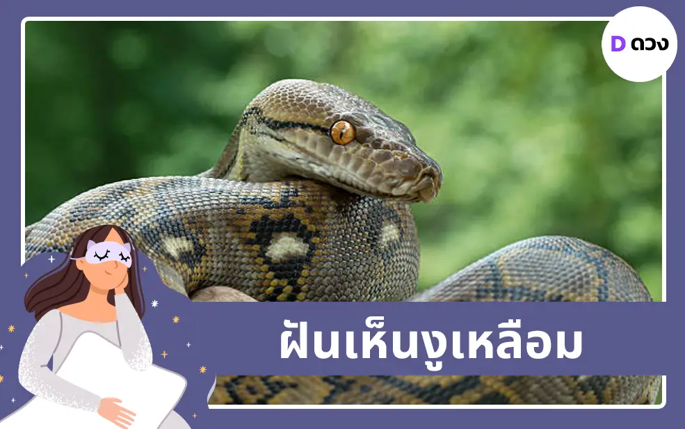 ฝันเห็นงูเหลือม