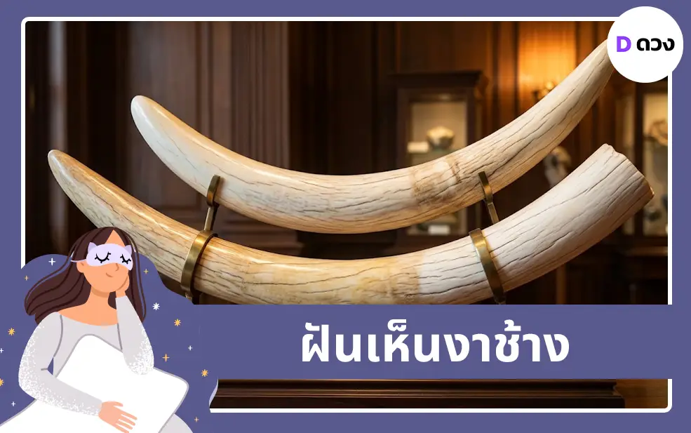 ฝันเห็นงาช้าง