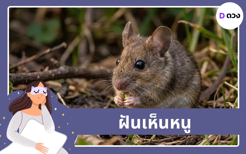 ฝันเห็นหนู