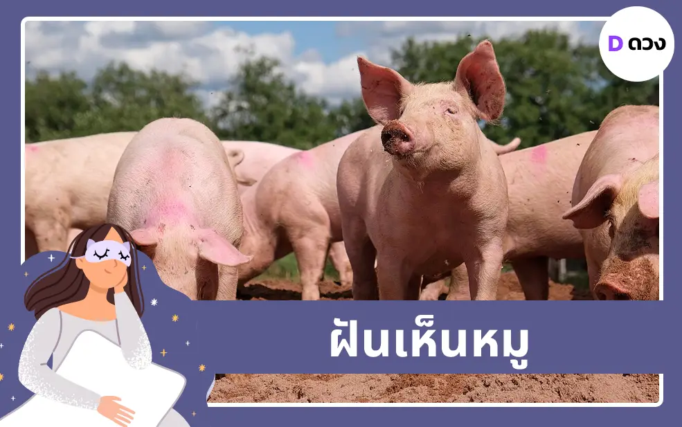 ฝันเห็นหมู